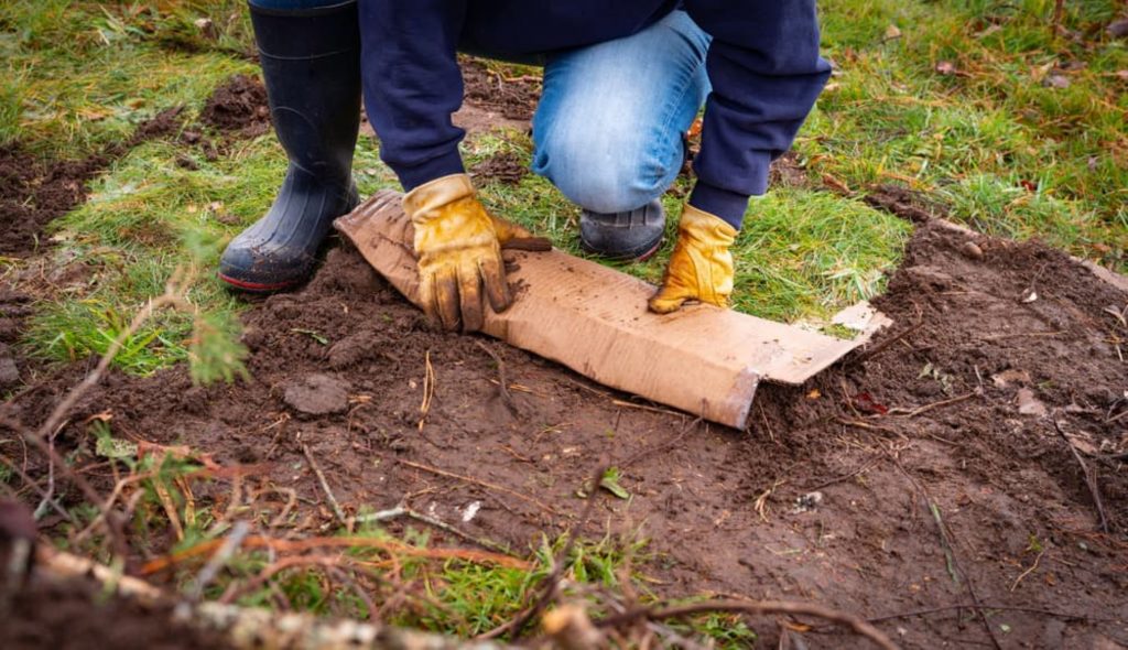 Adding Soil and Compost