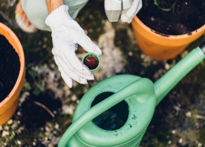 Adding the Right Fertilisers at The Right Time