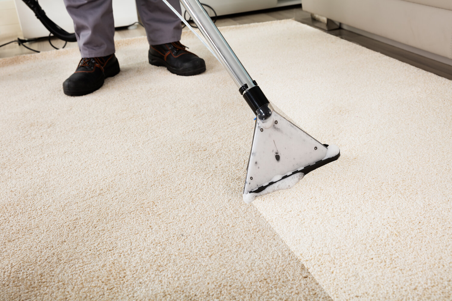 Importance of Rug Cleanliness