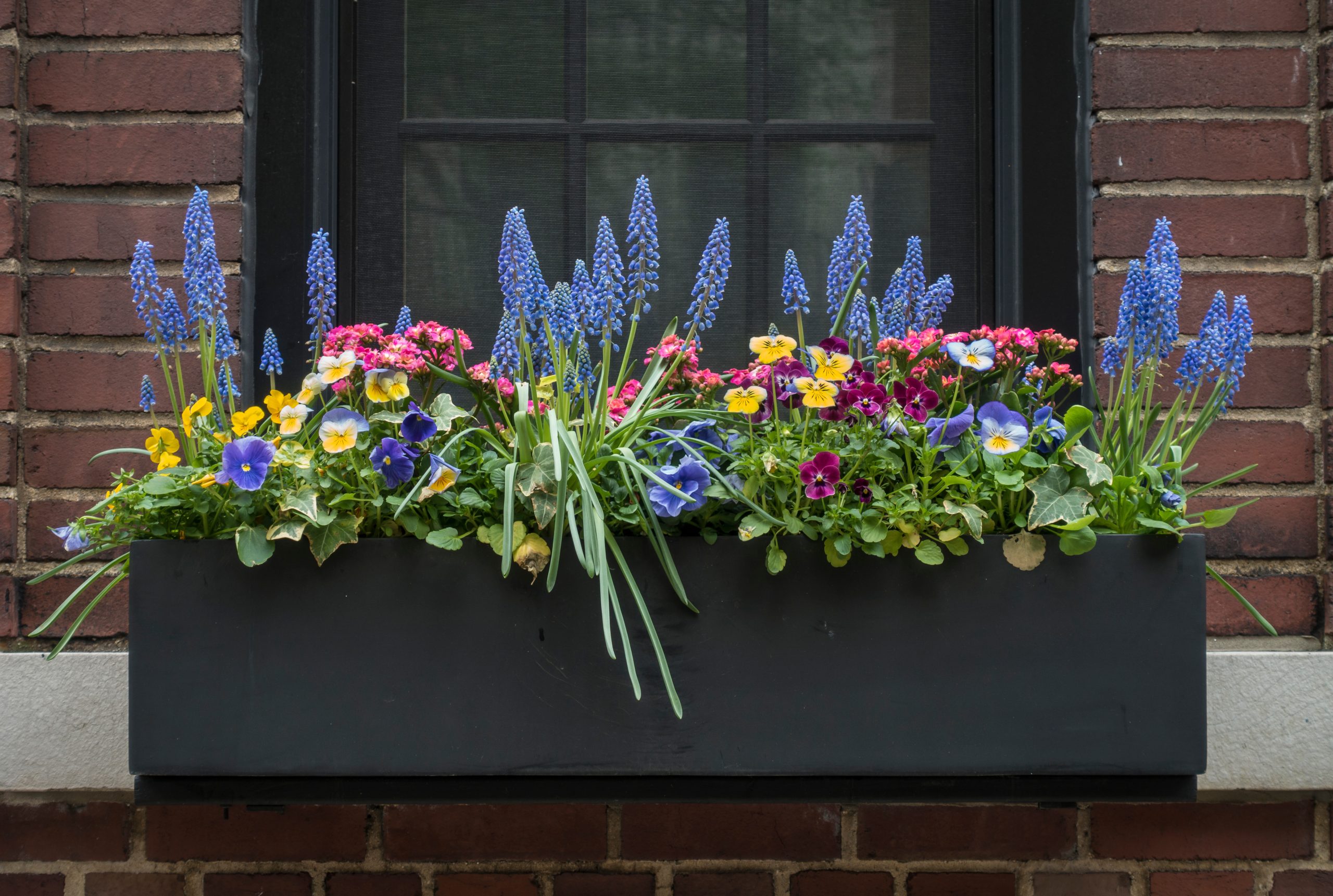 Feeding Your Plants