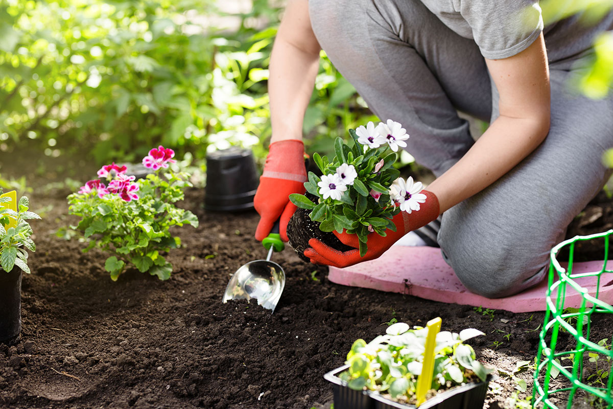 How to Get Your Garden Ready for Spring