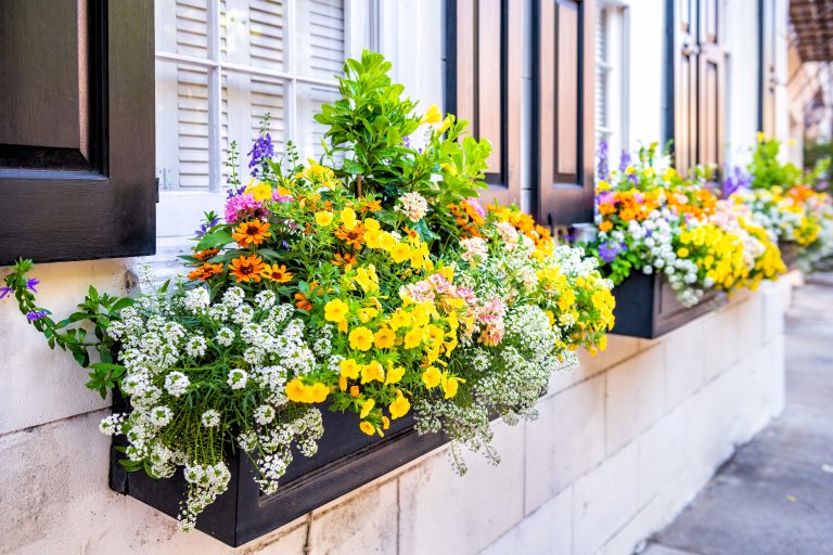 Planter Maintenance 101: Tips For Keeping Your Garden Containers Healthy And Vibrant