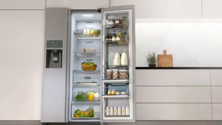 Best American Fridge Freezer 2021 – Reviews & Buyer’s Guide