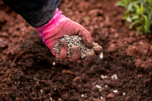 Applying Fertiliser (1)