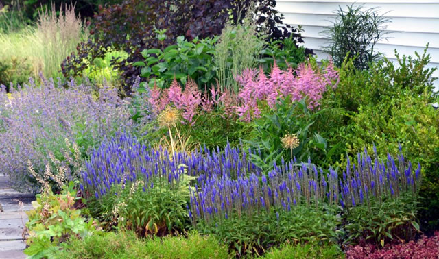 24 Must-Have Purple Leaf Plants to Add Color to Your Landscape