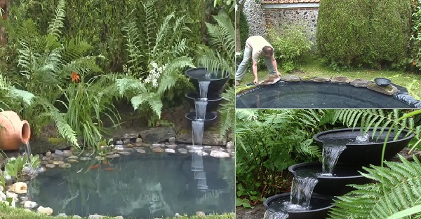 8 Easy Steps to Build a Garden Pond