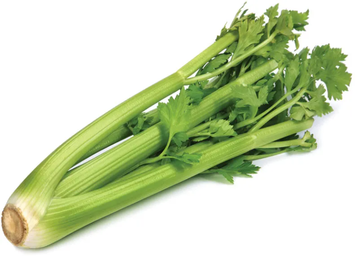 Celery (1)