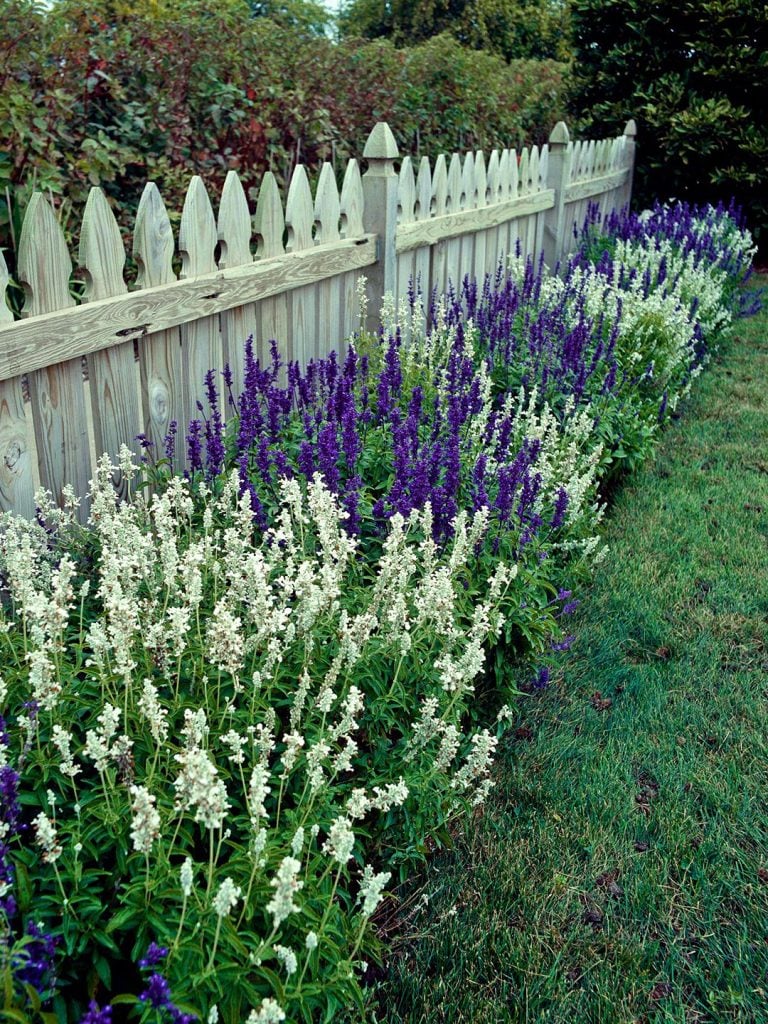 Clustered Flowers