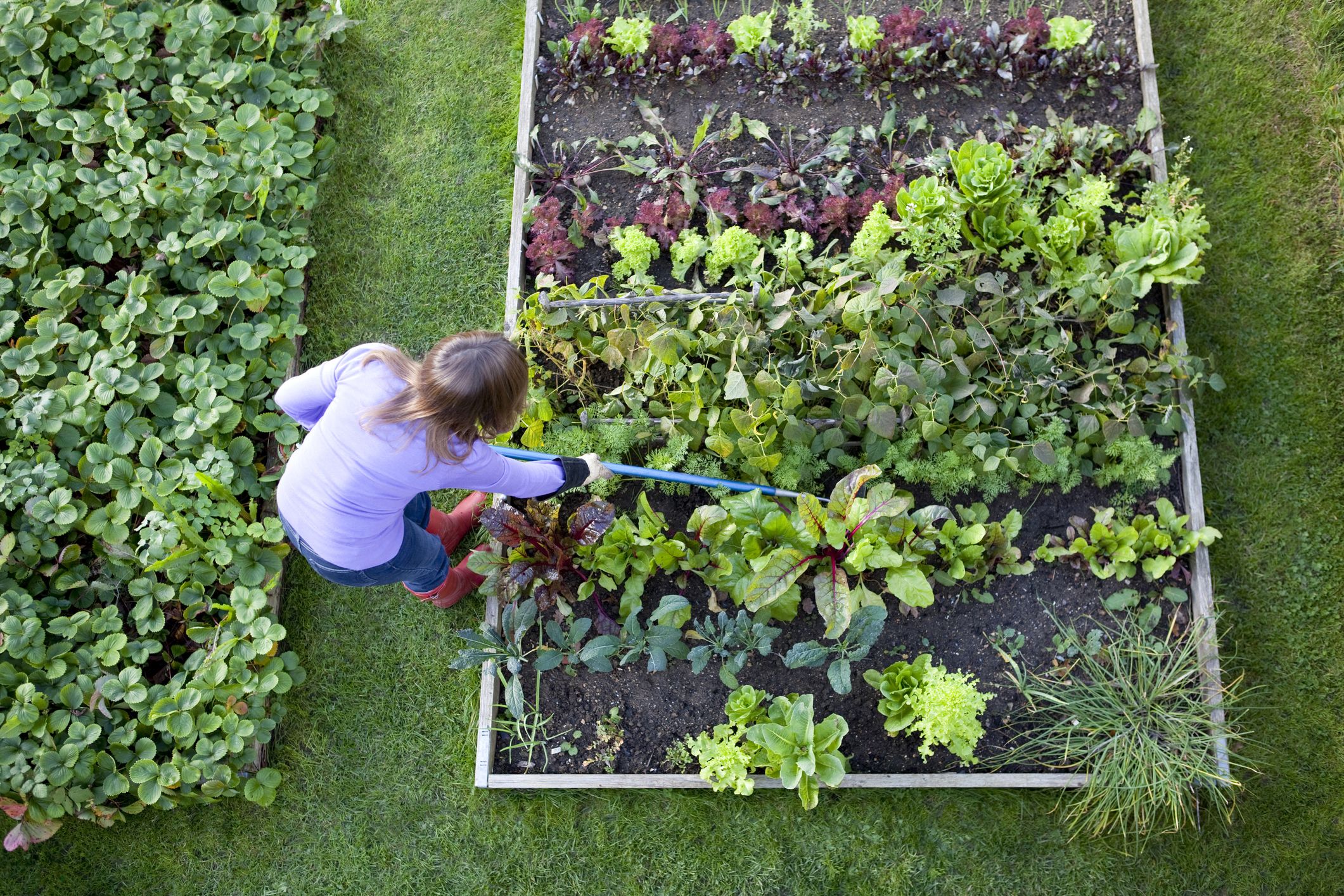 Creating the Compost Pile