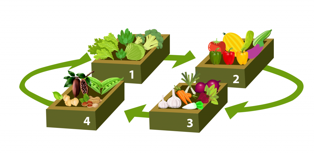 Crop Rotation