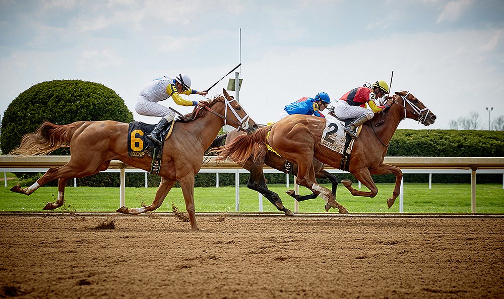 Derby Day Delights: Hosting the Perfect Outdoor Garden Horse Racing Party