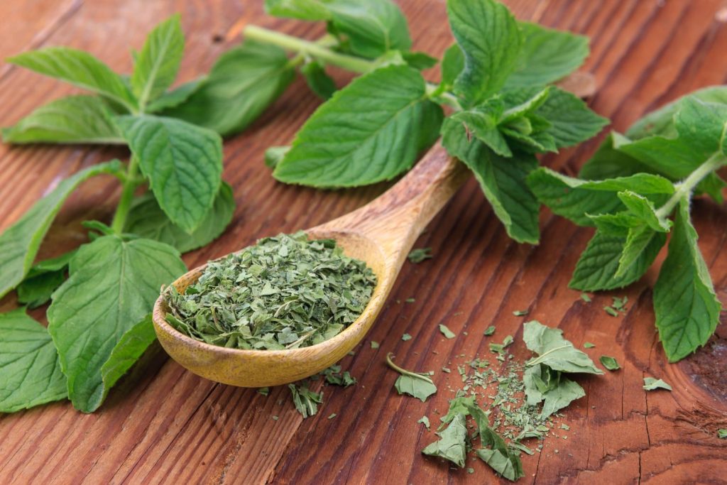 Drying Mint