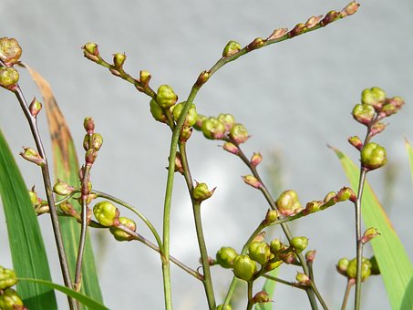 Faulty Usage of Fertilisers