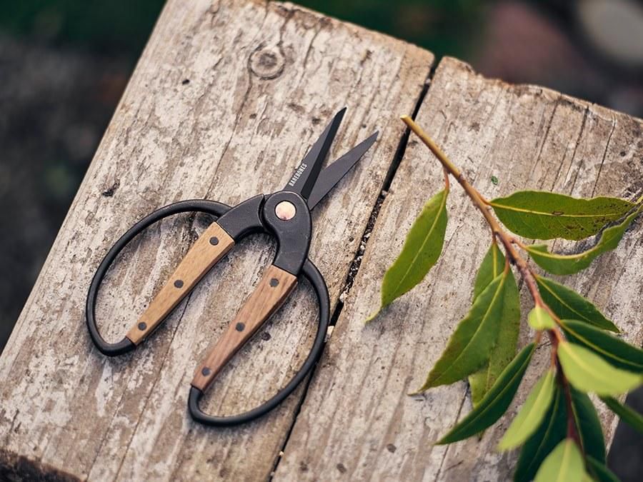 Floral Scissors