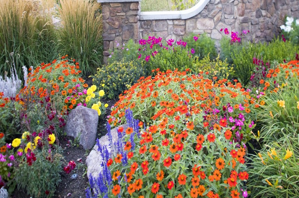 For Outdoor Landscape Planting