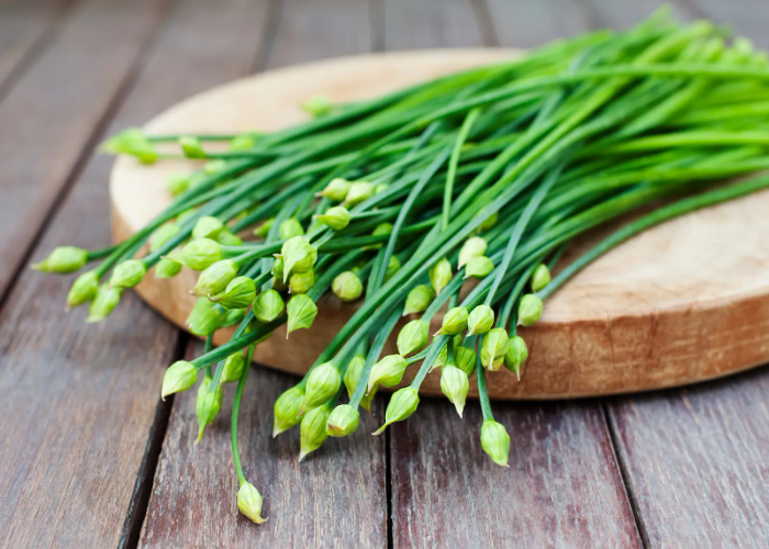 Garlic Chives