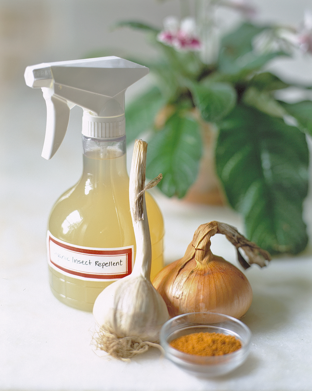 Garlic Pest Spray