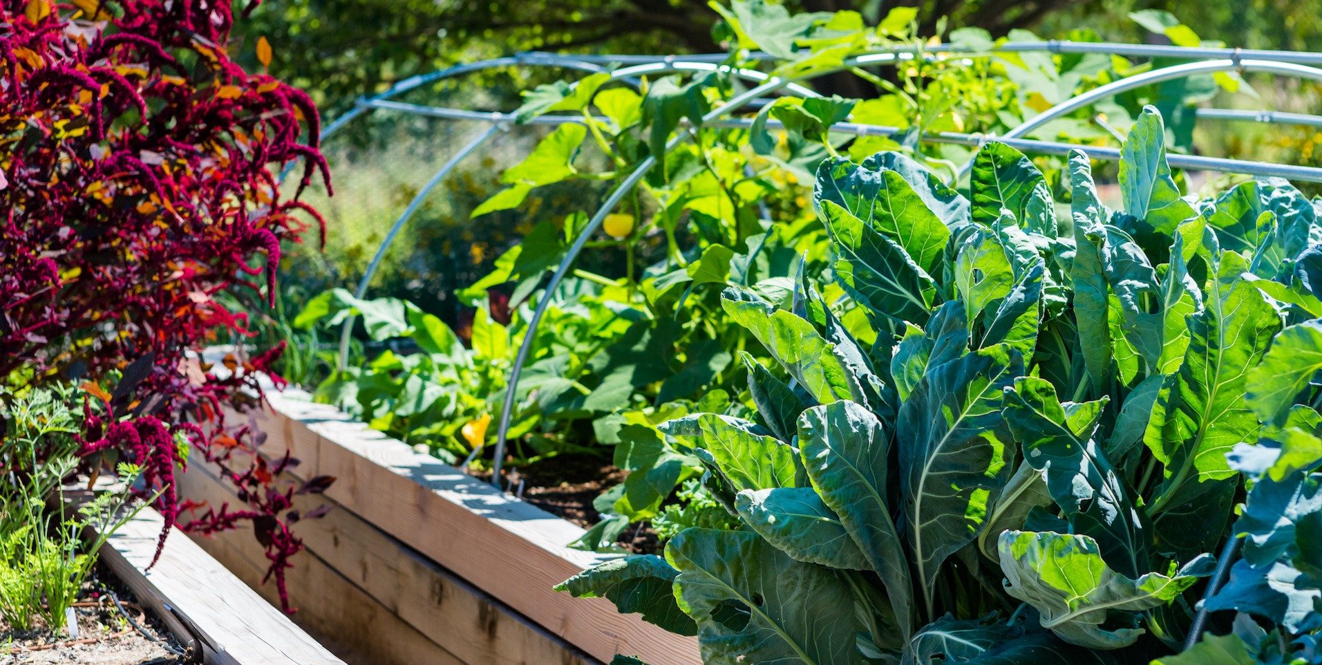 Gathering Composting Materials