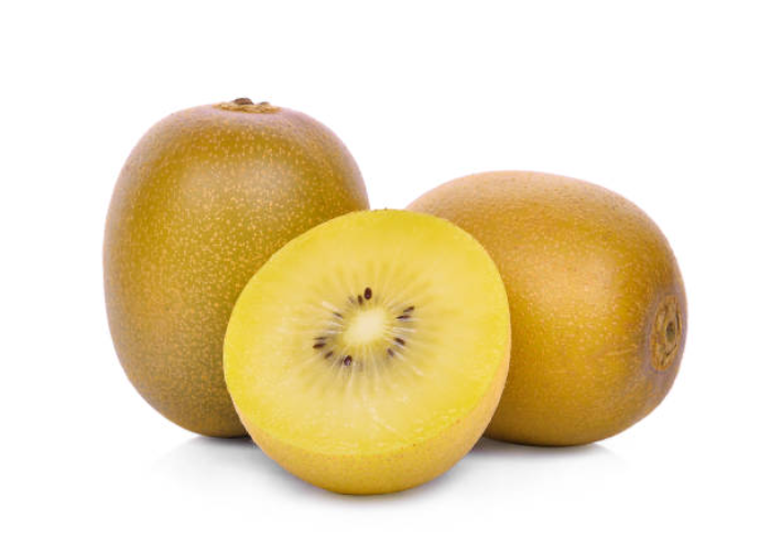 Golden Kiwi (Actinidia chinensis)