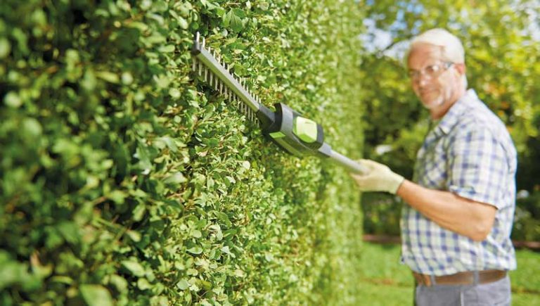 Gtech Hedge Trimmer Review – Do NOT Buy Before Reading This!