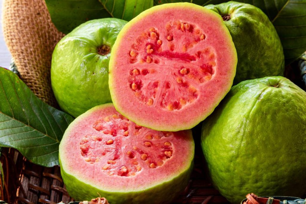 Guava