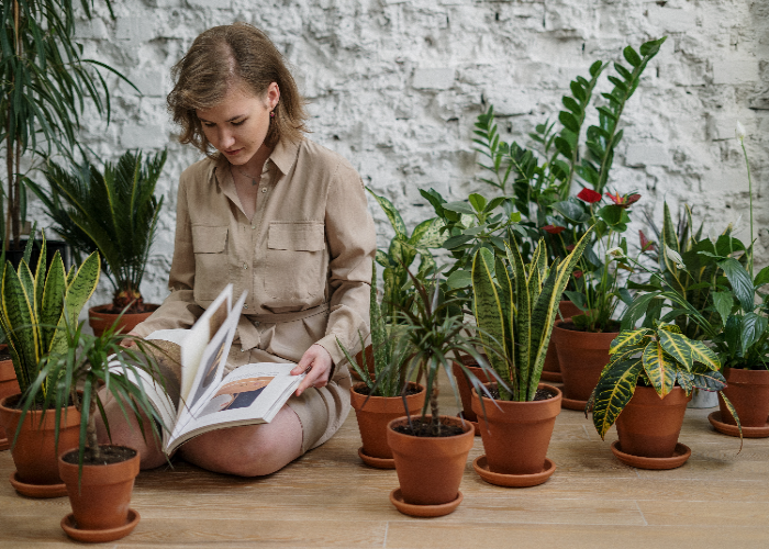 Guidelines to Plant Nasturtium