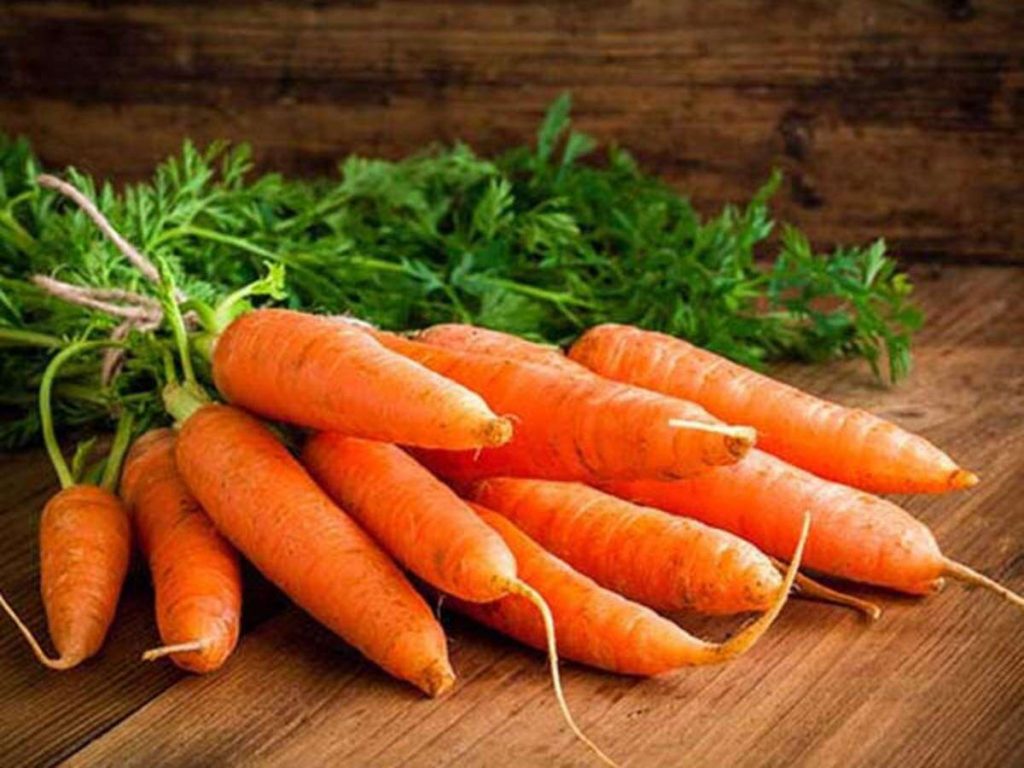 Harvesting Carrots - When Are They Ready