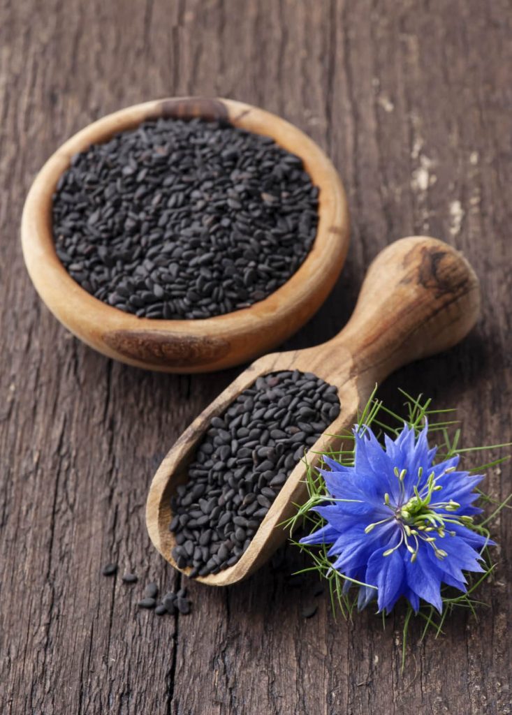 Harvesting Nigella