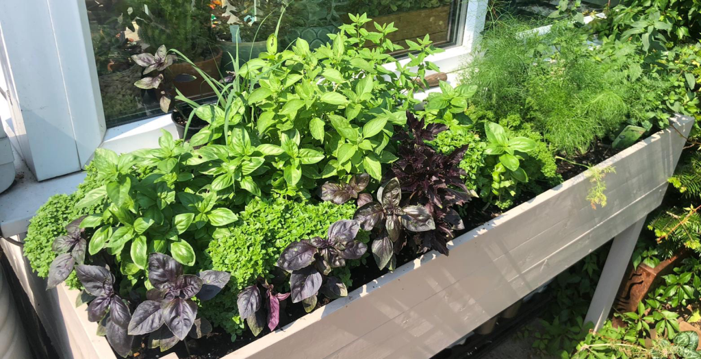 Herb Garden planter