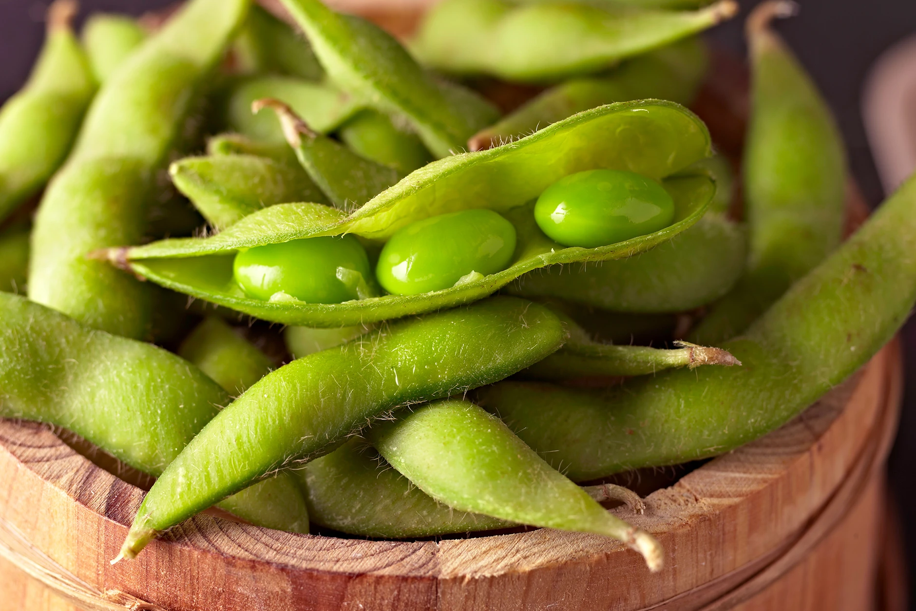 When and How to Pick Your Green Beans (French Beans)