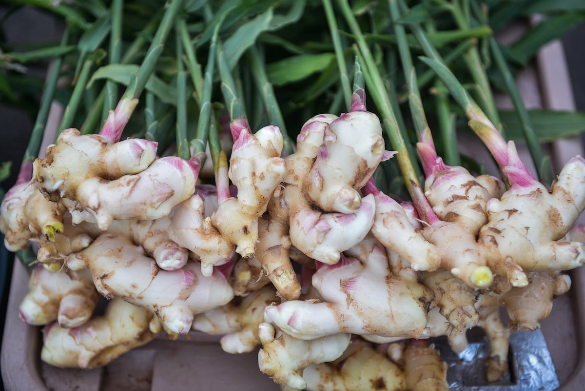 How Long Does It Take Ginger to Grow? A Detailed Guide