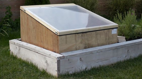 How to Building a DIY Cold Frame for Your Plants [UK]