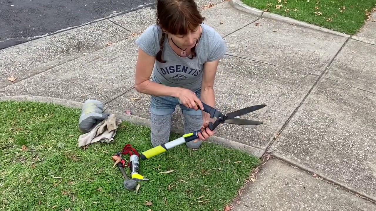 How to Sharpen Garden Hedge Trimmers?