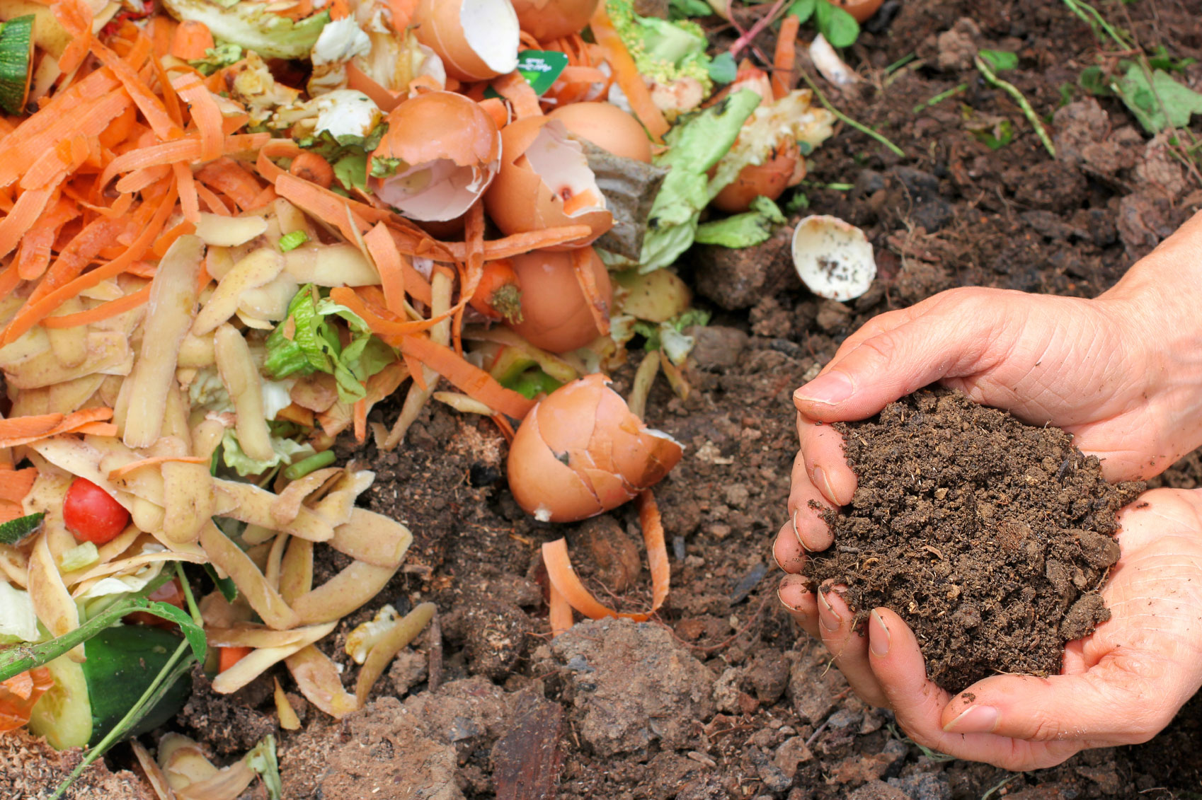 How to Start & Use a Compost Bin: Guidelines