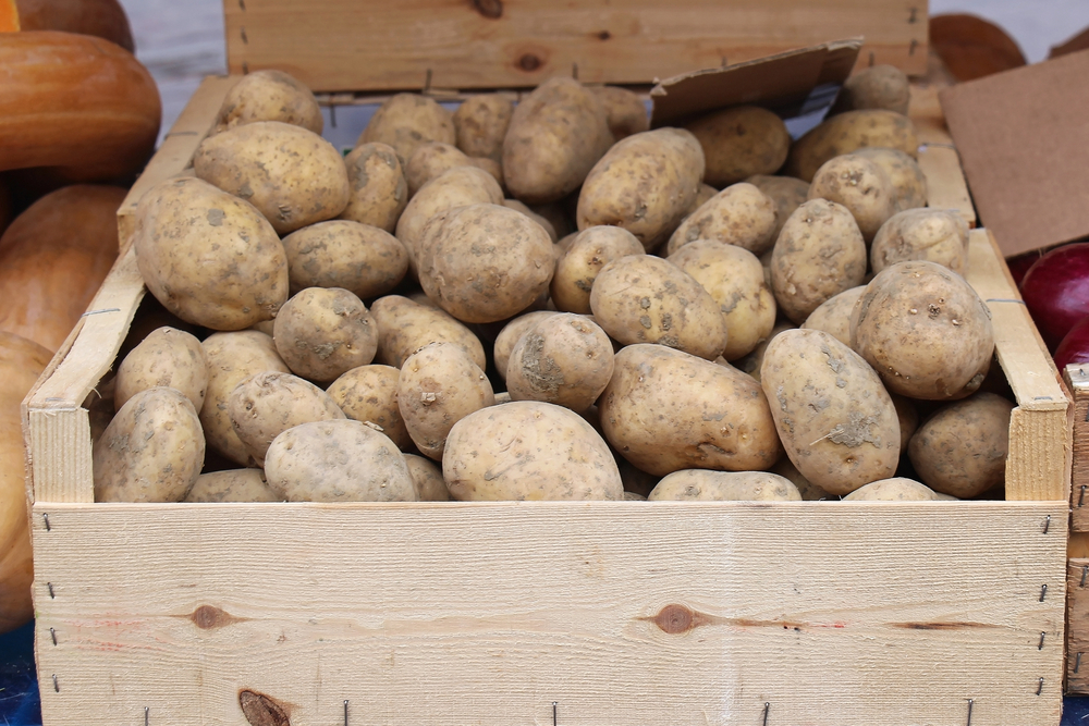 How to Store Potatoes