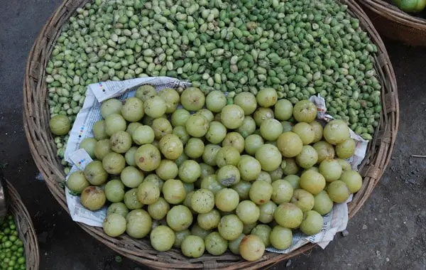 Indian Gooseberry