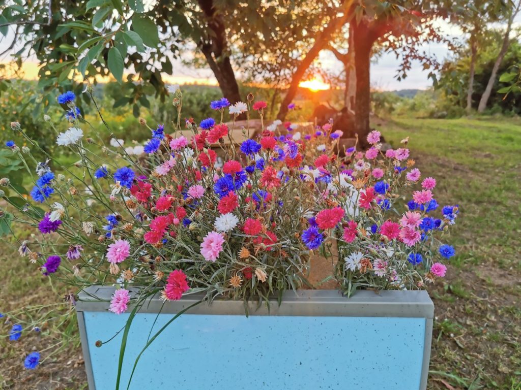 Keep the Containers Exposed to the Sun