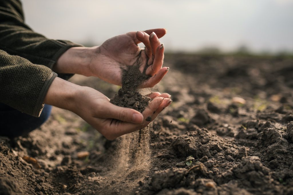 Keep the Soil Alkaline