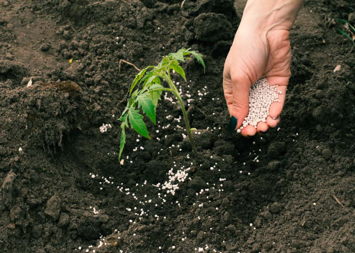 Keeping The Soil Ready