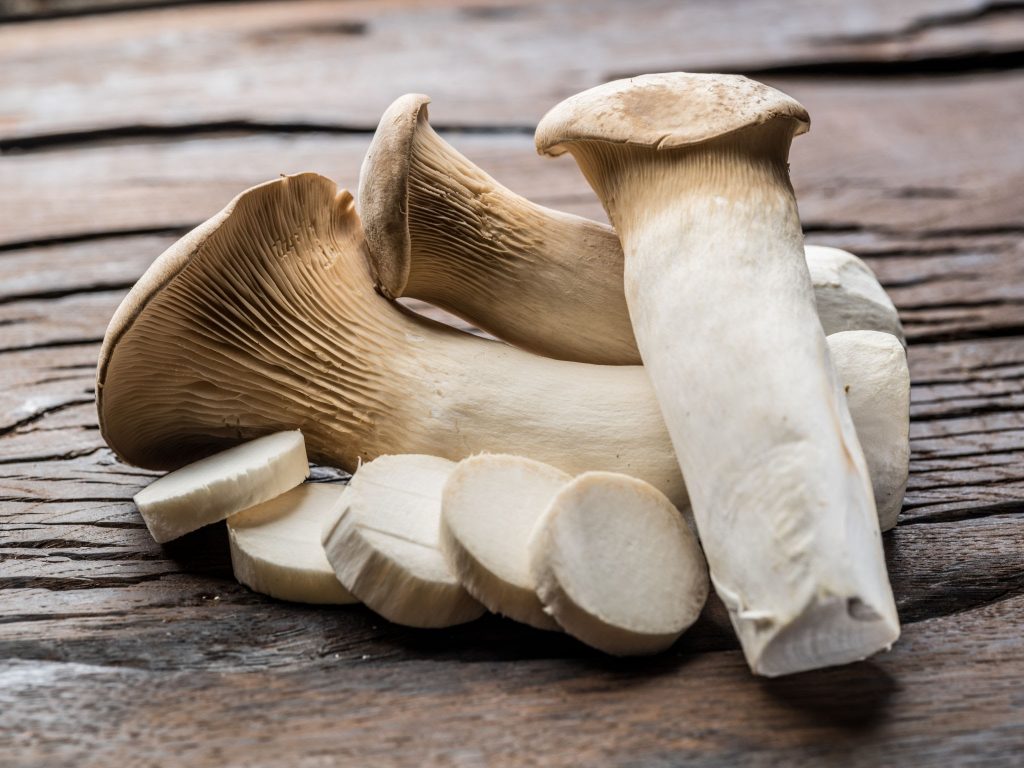 Jack-O-Lantern-Mushroom