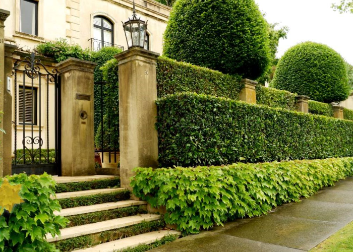 Layered Hedges