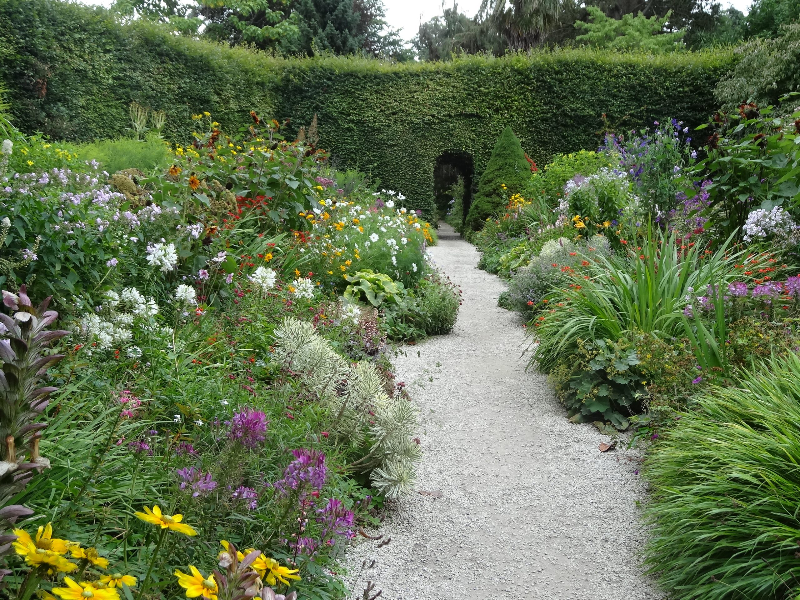 Let's Plan Your Herbaceous Border 