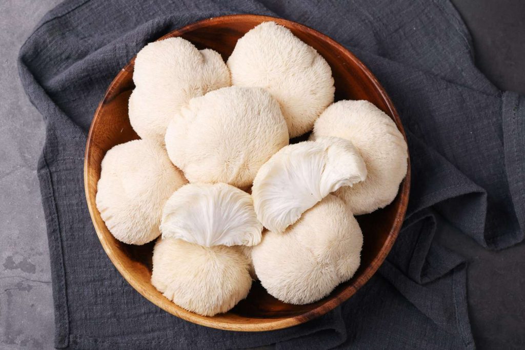 Lion's Mane Mushrooms