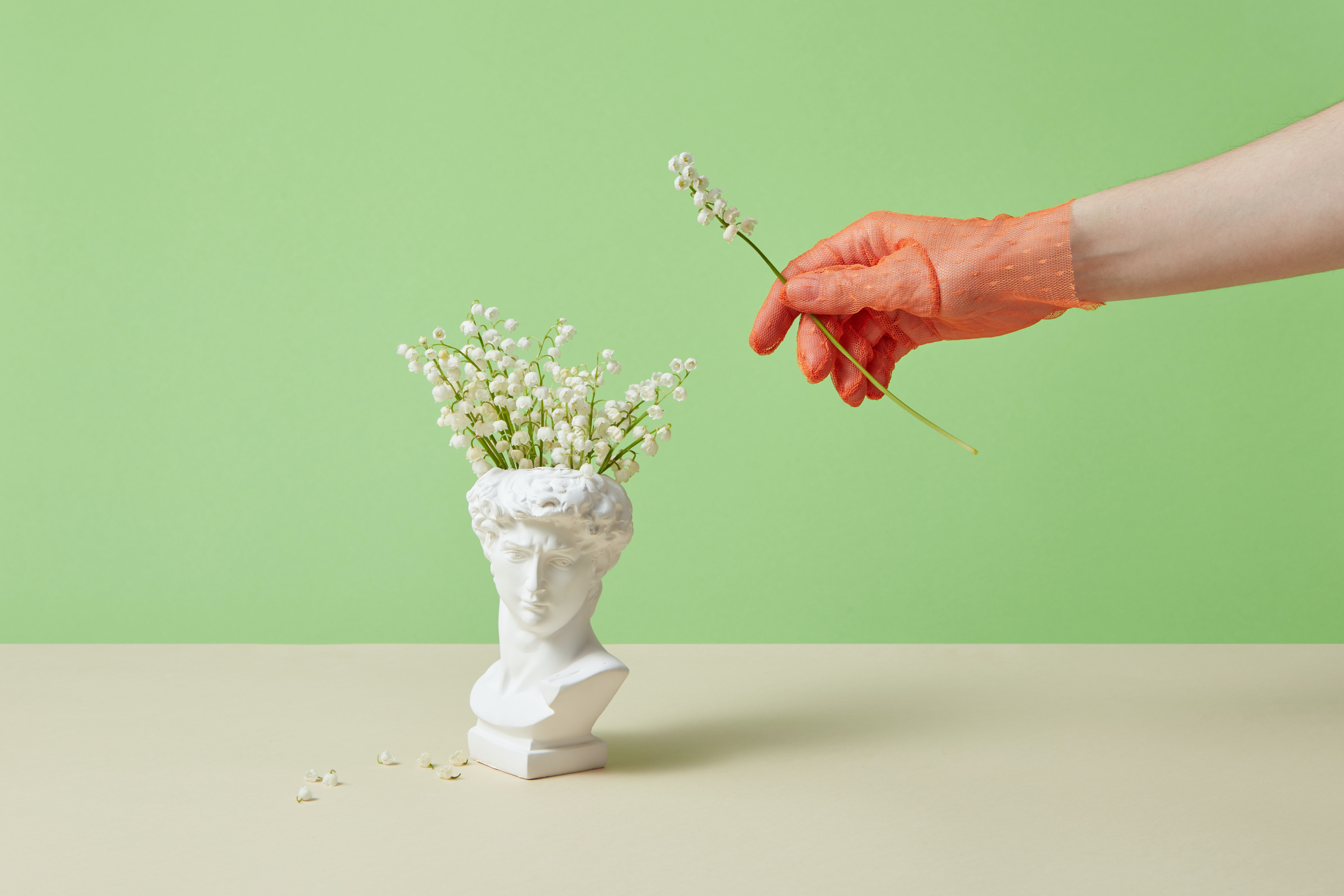 Maintenance of Lily of the Valley in Containers