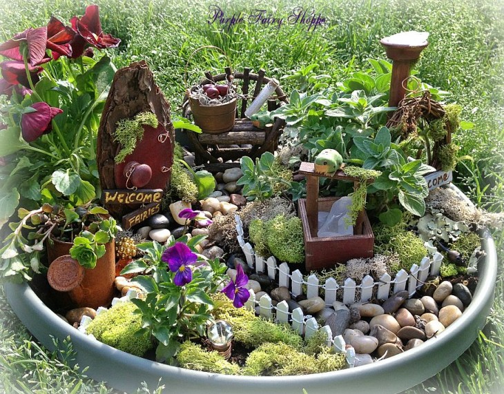 Mini Fairyland Garden