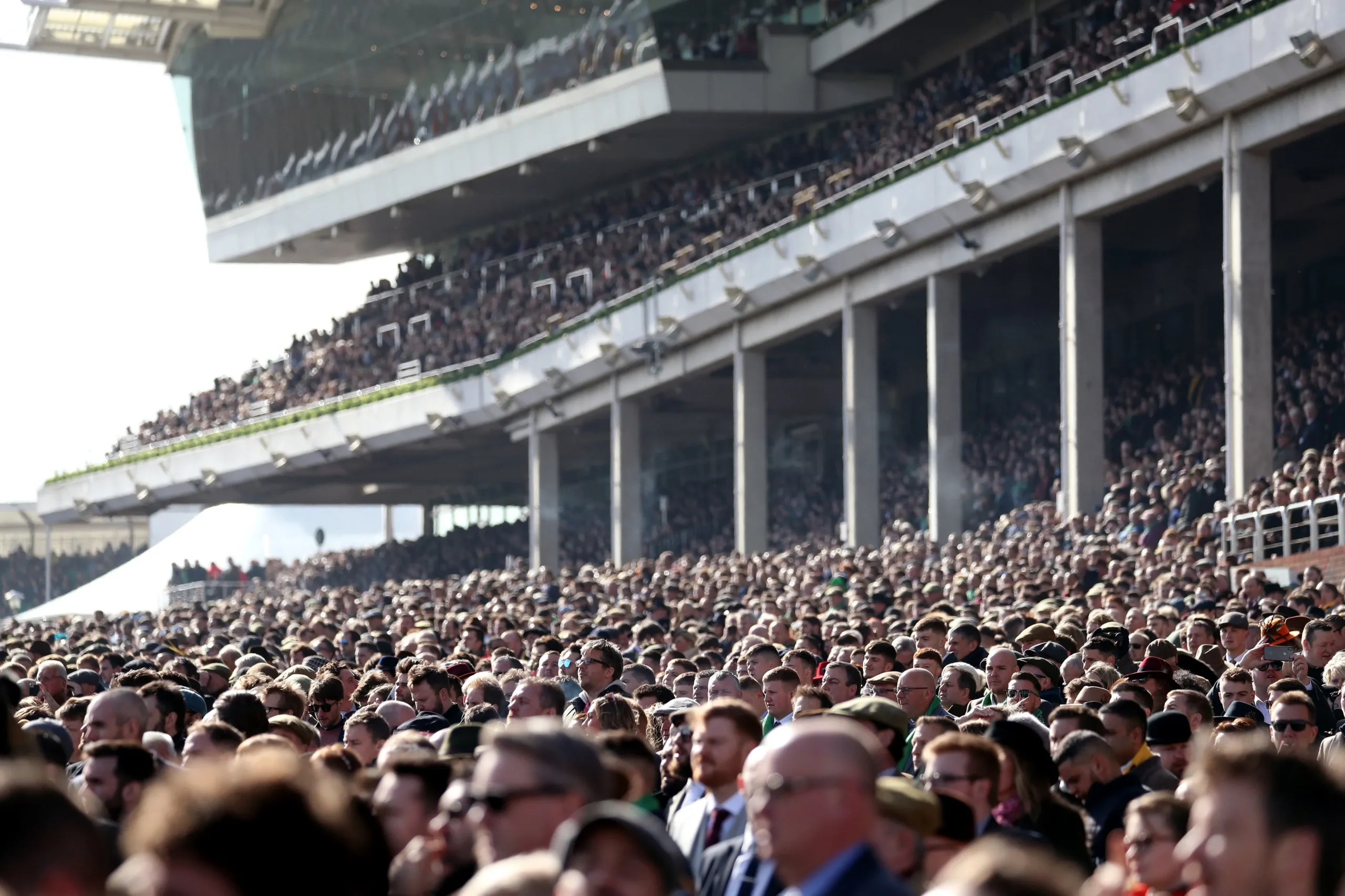 The Cheltenham Festival in Numbers