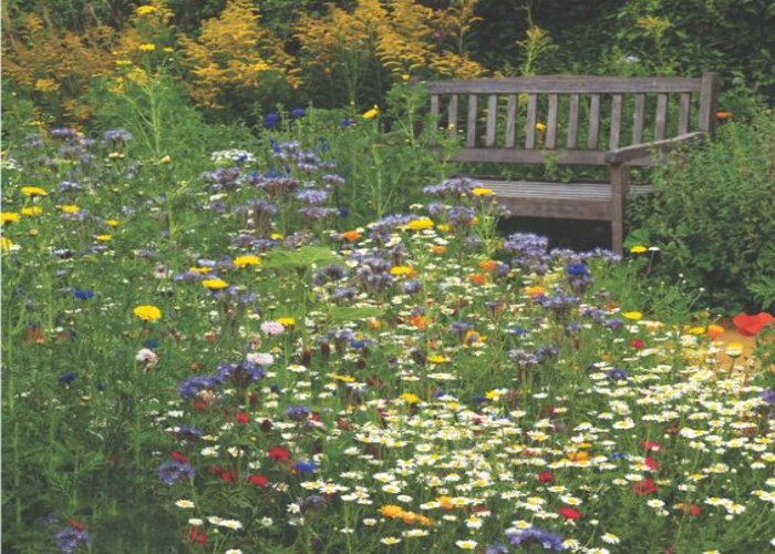 Plan the Layout for a Diverse Garden