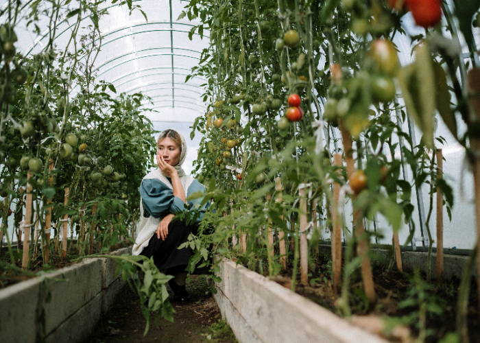 Planning for The Next Growing Season