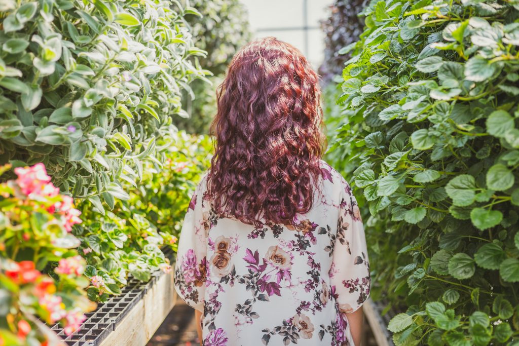 Planting & Caring of the Begonias