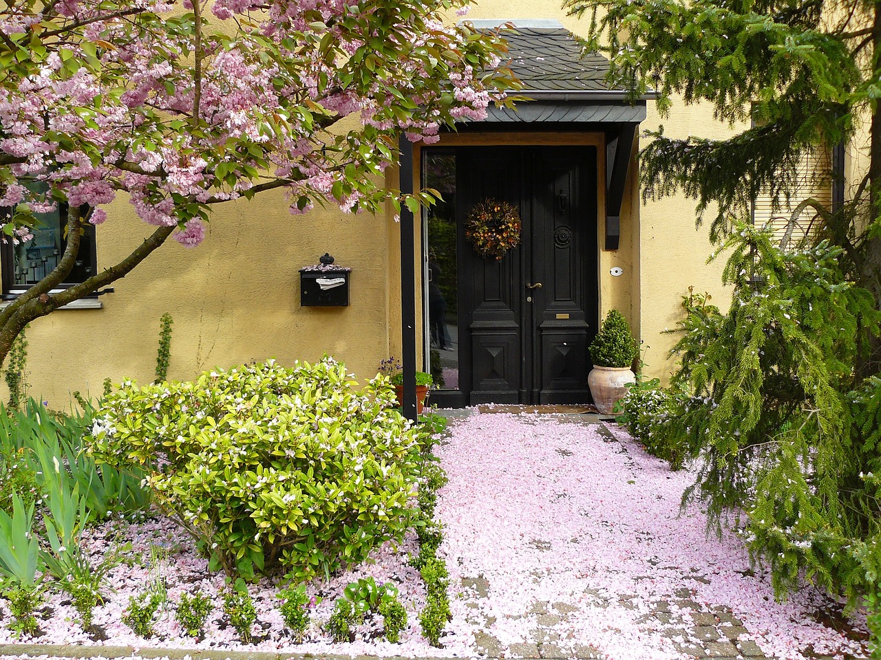 20 Plants Best for Creating a Stunning Front Door Entrance